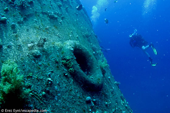 The anchor hole of the Cedar Pride