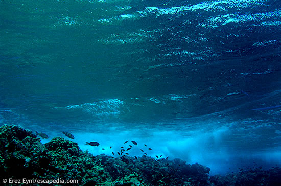 Waves crashing on Abu Kifan reef