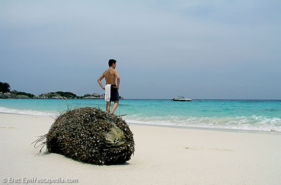 The view above water in the Similans